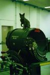 bk_m61a1_mit_waffenkatze_(f24bwall).jpg