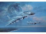 (archiv_wall)mig29.jpg