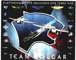 (archiv_wall)team_cougar.jpg