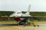 f-16_(f2wall).jpg