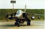 jaguar_(f2wall).jpg