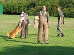 hundewache_02_(kirsch).jpg