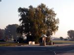 tankstelle_basis_(wall).jpg