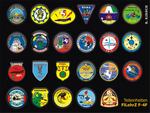 wappen_-_fllehrz_f-4f_-_teileinheiten_-_alle.jpg