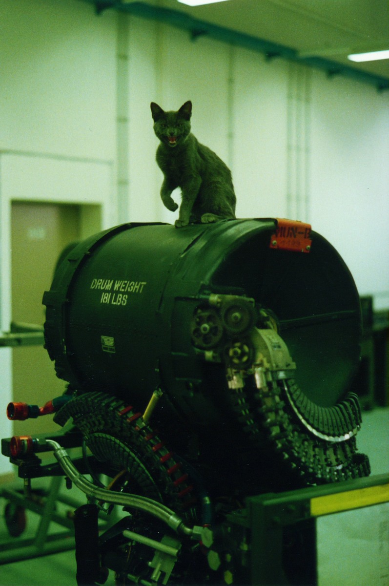 bk_m61a1_mit_waffenkatze_(f24bwall).jpg