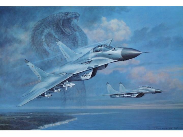 (archiv_wall)mig29.jpg