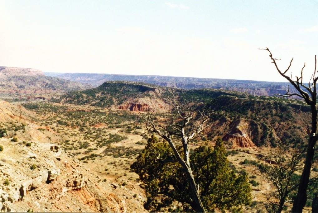 12.palodurocanyon_(vorlaender).jpg