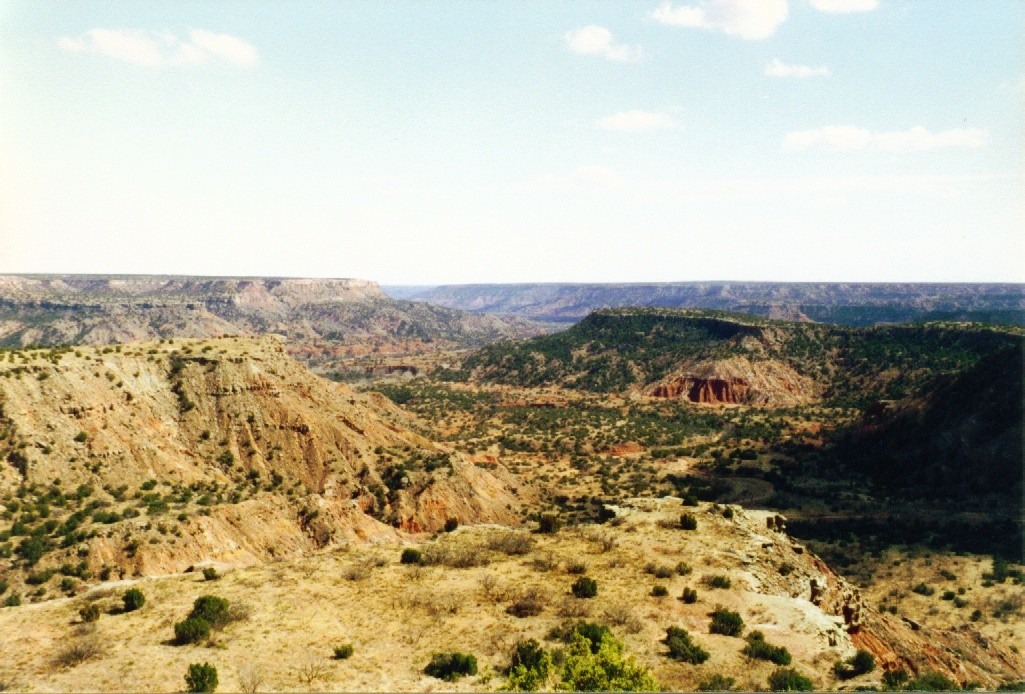 13.palodurocanyon_(vorlaender).jpg