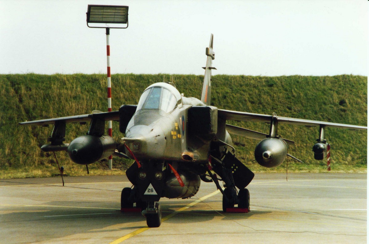 jaguar_(f2wall).jpg