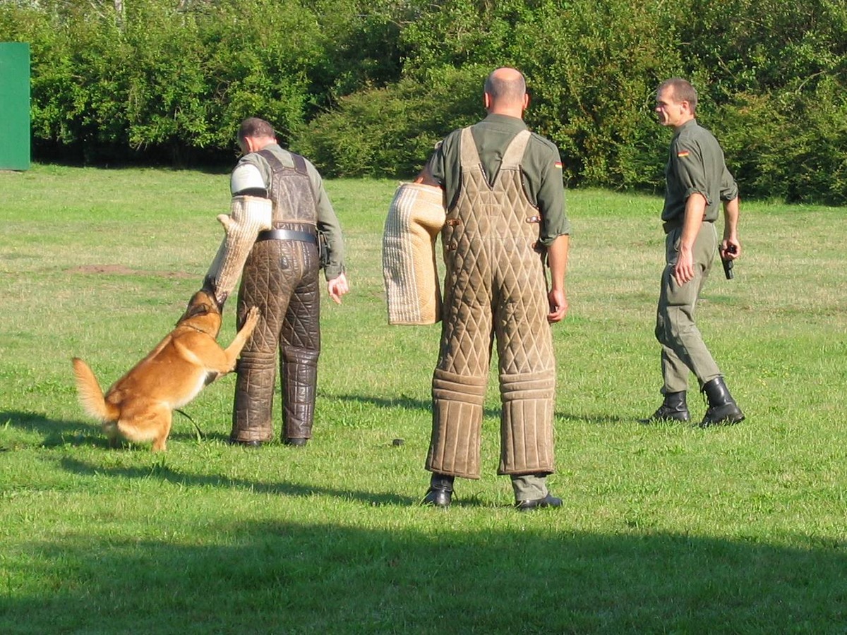 hundewache_02_(kirsch).jpg