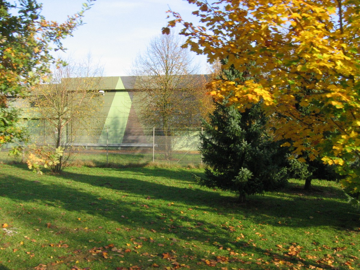 mms_(kirsch).jpg