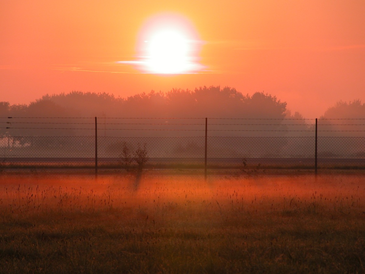 sonnenaufgang_sh_schleife_(wall)_dscn4799.jpg